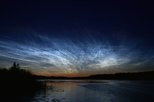 We had some insanely bright noctilucent clouds here last night. Beautiful and eerie at the same time