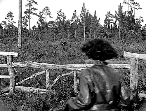 shadytail: deforest: KATHRYN BOYD in THE FLYING ACE (1926) dir. Richard E. Norman Enters the public 