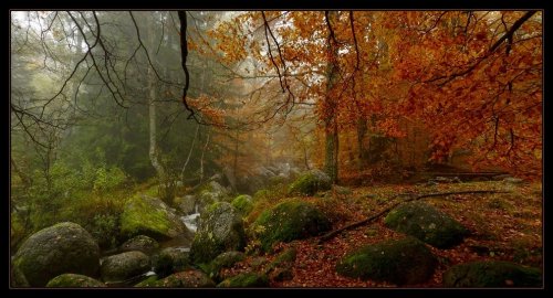 SvetoslavBulgaria / Vitosha