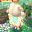 rinnyho