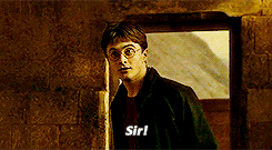 sunshineandrainbows-yer:  high harry was great 