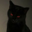my-ownfucking-mind