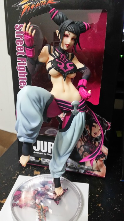 Juri arrived.I finally got a hold of a camera(that’s not on my 2ds) so I now have pics of Chun-Li too!Now for Cannon Spike Wife and then Sakura and Poison when they are released.Fingers crossed for an Elena and/or Rainbow Mika one day?