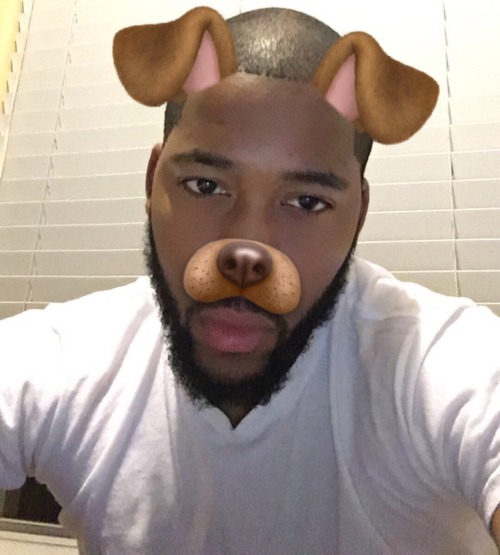 map-boule: got a human up disguise but my face is a doggy