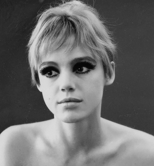 Edie Sedgwick, photographed by Ron Bacsa