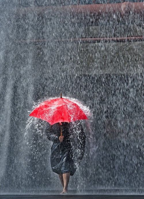 seasonalwonderment:“Rainy Day” ~ Photography by Ferdi Doussier
