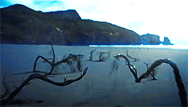 greydaysclear:music videos [the aesthetics]: out of the woods
