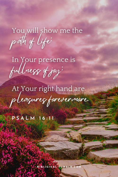 bibligical: Psalm 16:11You will show me the path of life;In Your presence is fullness of joy;At Your