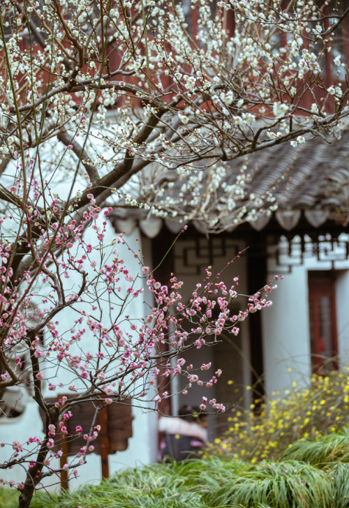 nanyuan南园, suzhou, jiangsu province by 白墙下的花园