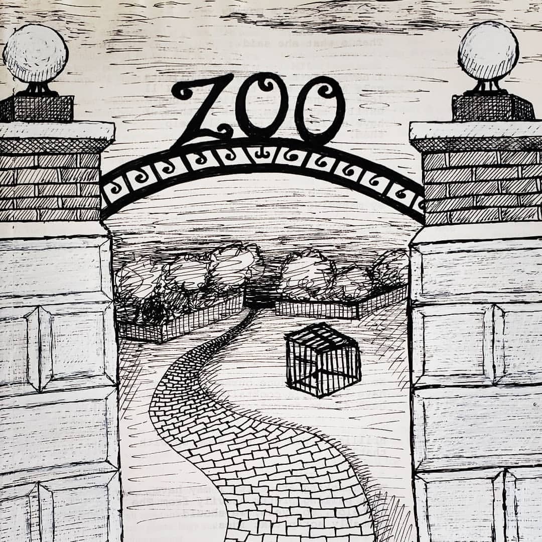 Aggregate 146+ zoo drawing images