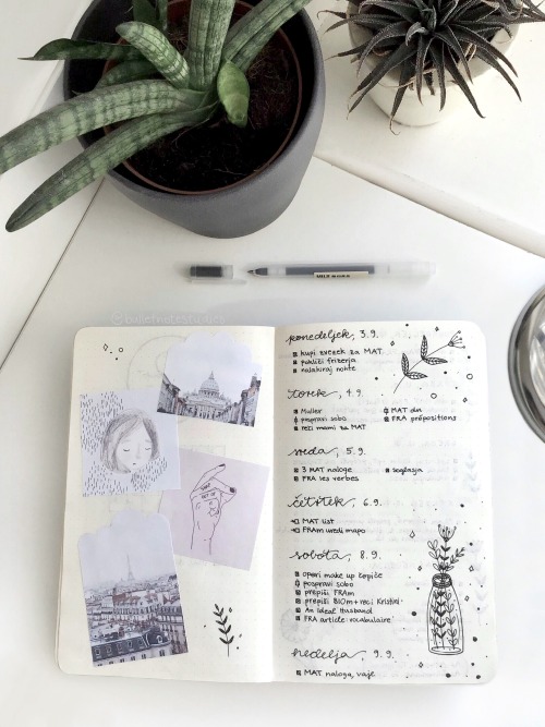 bulletnotestudies