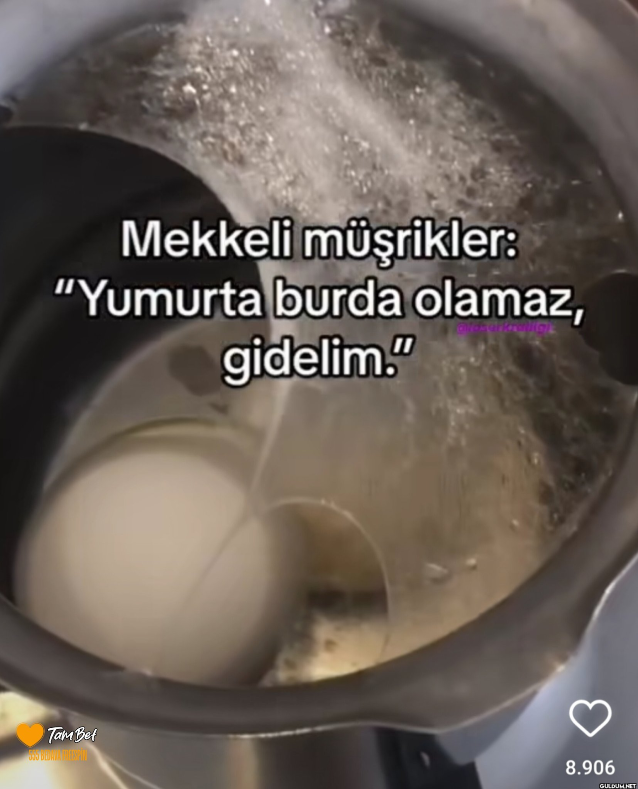 Mekkeli müşrikler:...