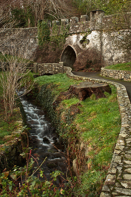 bonitavista:  Tollymore Forest Park, Northern Ireland photo via paimpont  looks like a great place to chill out and listen to some good music or read a book.
