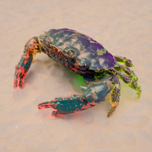 somenerv:Crabby feels