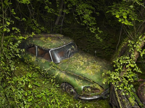 Porn nevver: Where did we park, Peter Lippman photos