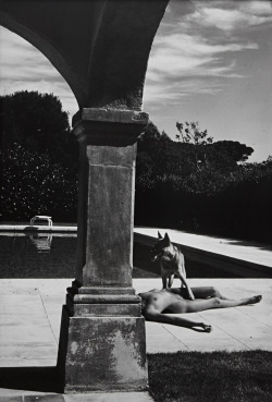 manundertheinfluence:  Helmut Newton Nude and Police Dog from “Sex and Landscapes”St.Tropez, 1975 