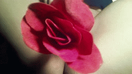 La vie en rose…