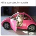 cat-memes-only:
