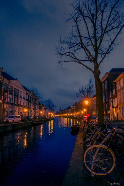 visionsandvistas:Glowing Leiden