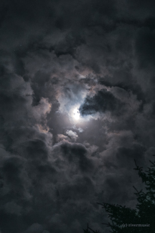 Portal to the Winds: (c) riverwindphotography, July 2020