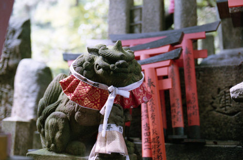 ileftmyheartintokyo:  Fushimi-inari shrine,Kyoto by mgsn on Flickr.