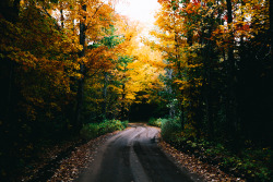 jonahreenders:  fall roads By: Jonah Reenders 