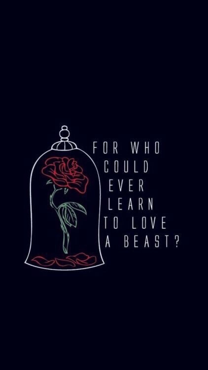 24 Beauty And The Beast Rose Wallpapers  WallpaperSafari