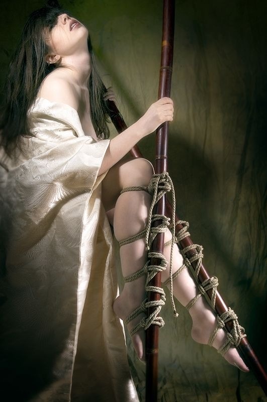 kinkalicious-jewel:  Gorgeous shibari “stilts”