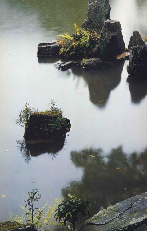 fernsandmoss:image from The Gardens of Japan by Teiji Itoh