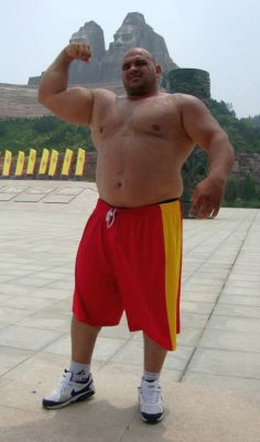 justbulls:  Strongman Bull