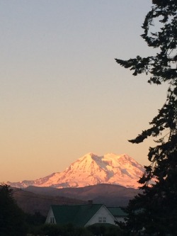 softwaring:  Mt Rainier is so lovely