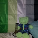 babfriends:build a bear has an axolotl finally! they are so cute and im so excited they finally made one. 