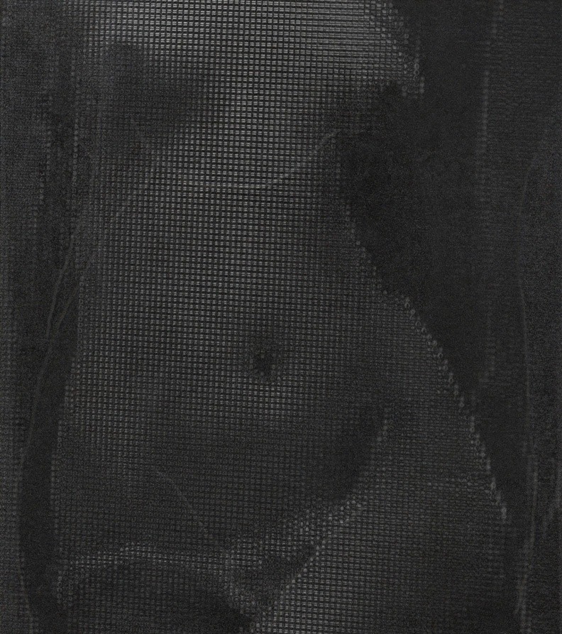vivipiuomeno1:  Archive March 2015  Bill Sullivan art. - Untitled (torso) Pigment