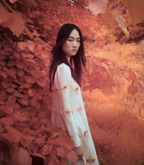 JING WEN wearing VALENTINO FALL 2017 READY-TO-WEAR, photographed by SOLVE SUNDSBO for VOGUE China