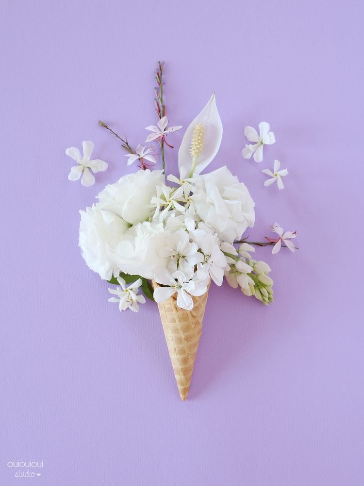 pastel–purple:by Oui Oui Oui Studios