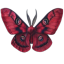 kinomorebi