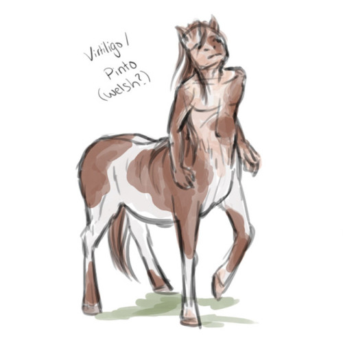 mia-fou: Centaur doodles.I tried to link human and animal traits and I suggested a horse breed for e
