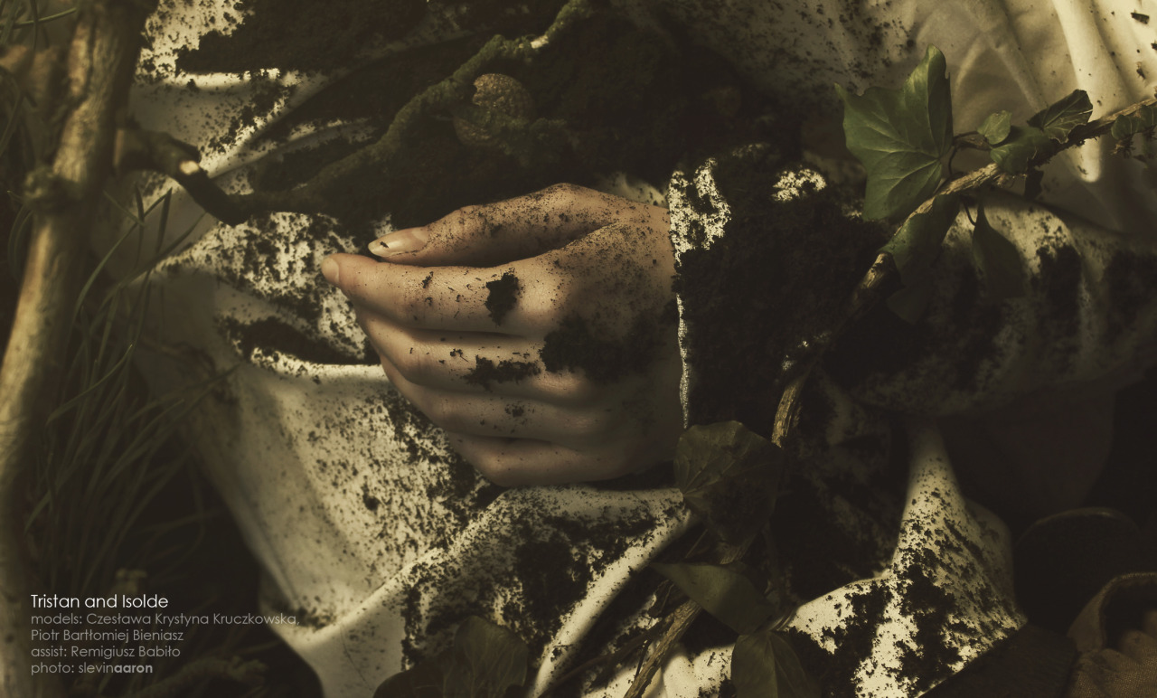 fairytalemood:  &ldquo;Tristan and Isolde&rdquo; by slevinaaron (Bartosz