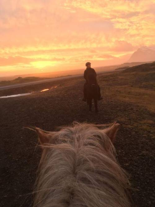 icelandichorsepower:Throwback to when every day looked like this