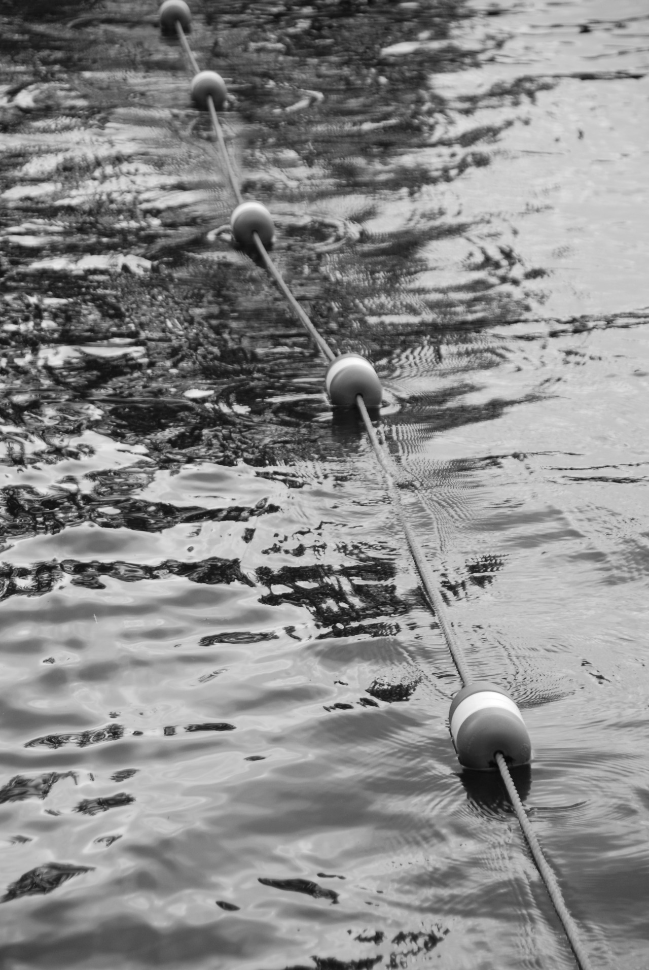 Lake Coeur d'Alene, Idaho © 2014