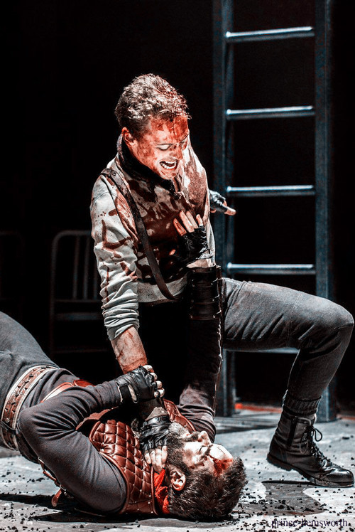 notyourplayground:prince-hemsworth-deactivated201:Coriolanus(2013)heads up: this reblogging blood-co