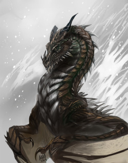 pinadaocean:  Dragons are just beautiful