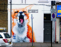 wherethefoxthingsare:  Irony & Boe