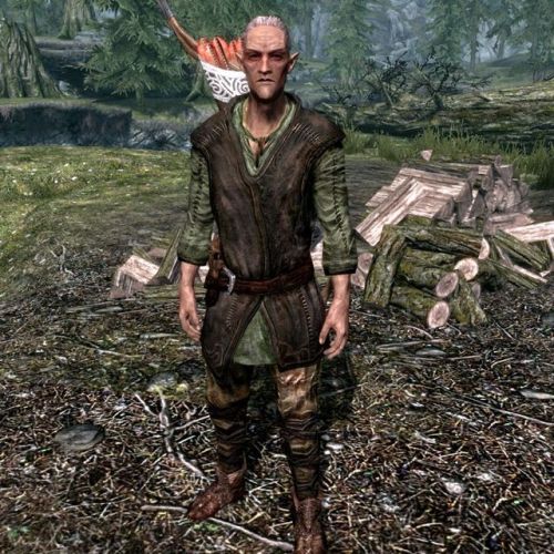 uesp: Did You Know: Without mods or console commands, there are no Bosmer or Khajiit available for m