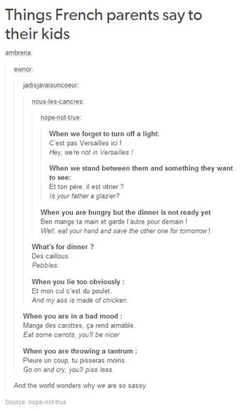advice-animal:  French thingsadvice-animal.tumblr.com