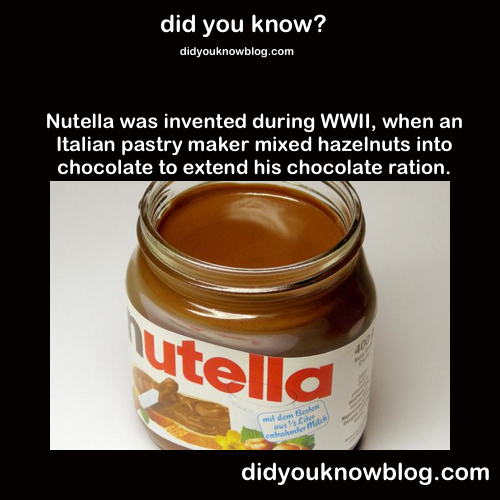 angel-in-a–trenchcoat:  2460onetruepairing:  holmesandtheroman:  did-you-kno:  Source  THANK YOU ITALY FOR BLESSING US WITH PIZZA, PASTA, AND NUTELLA  I now want Nutella.  what if you put nutella on pasta