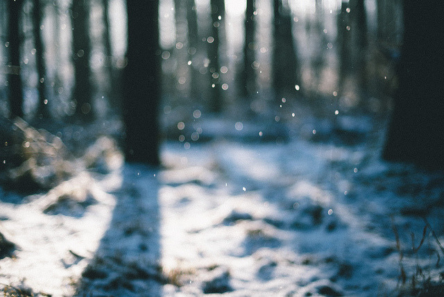 lyricalsycamore:  Catch the Light by .monodrift on Flickr. 