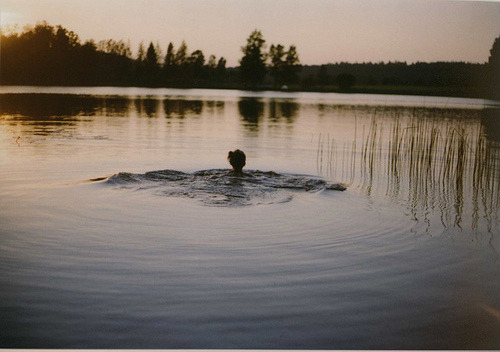 b-rights-ide.tumblr.com/post/47859419311/