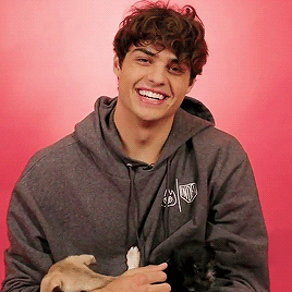 ncentineosource:Noah Centineo Plays With Puppies While Answering Fan Questions