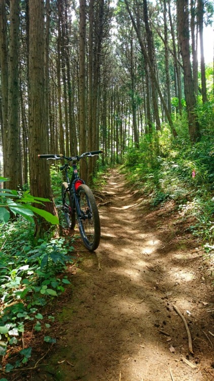 krs955:local satoyama trail ride, and helping the local event.